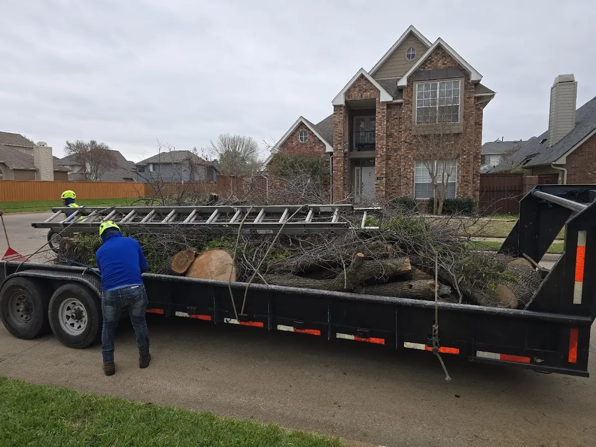 Expert Tree Fertilization with proper safety equipment in New Richland